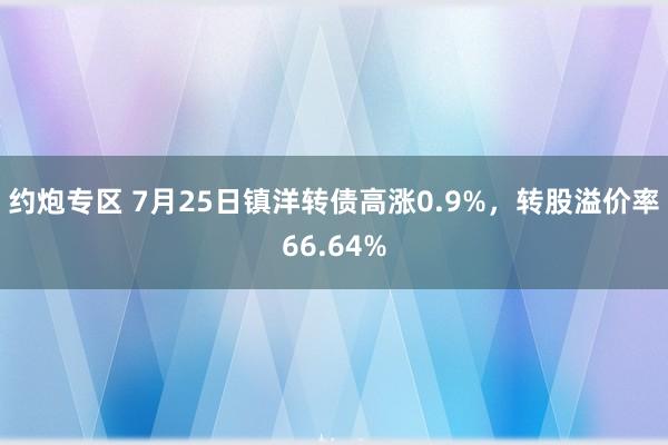 约炮专区 7月25日镇洋转债高涨0.9%，转股溢价率66.64%