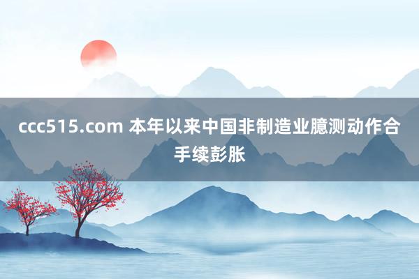 ccc515.com 本年以来中国非制造业臆测动作合手续彭胀