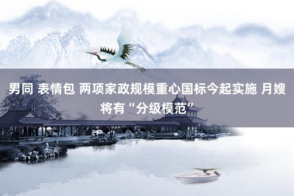 男同 表情包 两项家政规模重心国标今起实施 月嫂将有“分级模范”