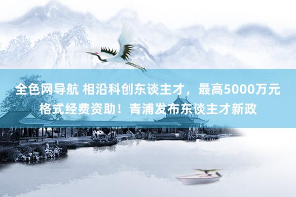 全色网导航 相沿科创东谈主才，最高5000万元格式经费资助！青浦发布东谈主才新政