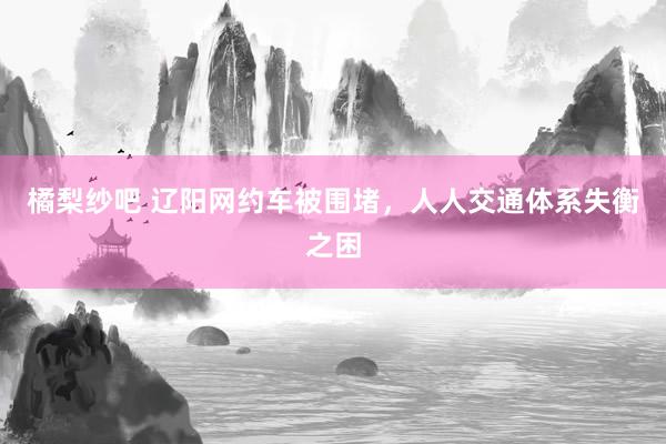 橘梨纱吧 辽阳网约车被围堵，人人交通体系失衡之困