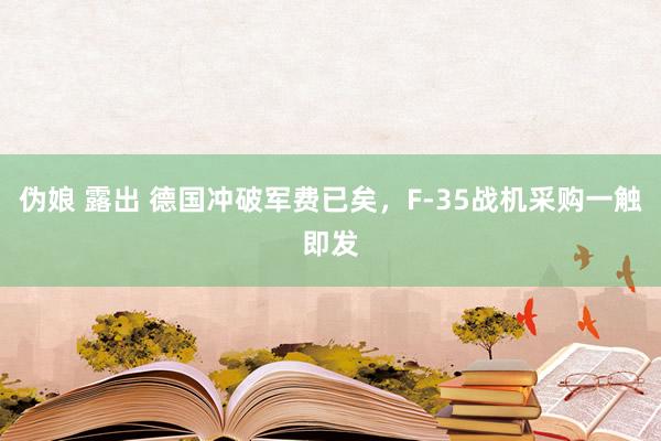 伪娘 露出 德国冲破军费已矣，F-35战机采购一触即发