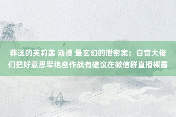 葬送的芙莉莲 动漫 最玄幻的泄密案：白宫大佬们把好意思军绝密作战有磋议在微信群直播裸露
