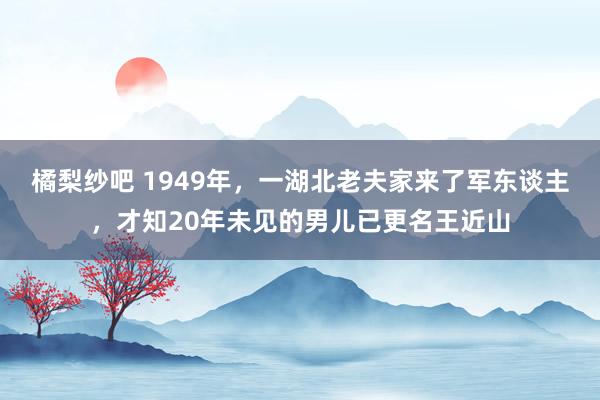 橘梨纱吧 1949年，一湖北老夫家来了军东谈主，才知20年未见的男儿已更名王近山