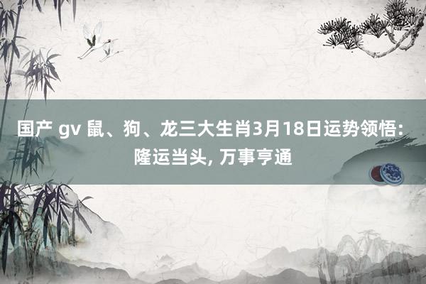 国产 gv 鼠、狗、龙三大生肖3月18日运势领悟: 隆运当头， 万事亨通