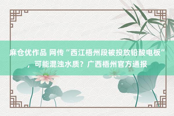 麻仓优作品 网传“西江梧州段被投放铅酸电板”，可能混浊水质？广西梧州官方通报